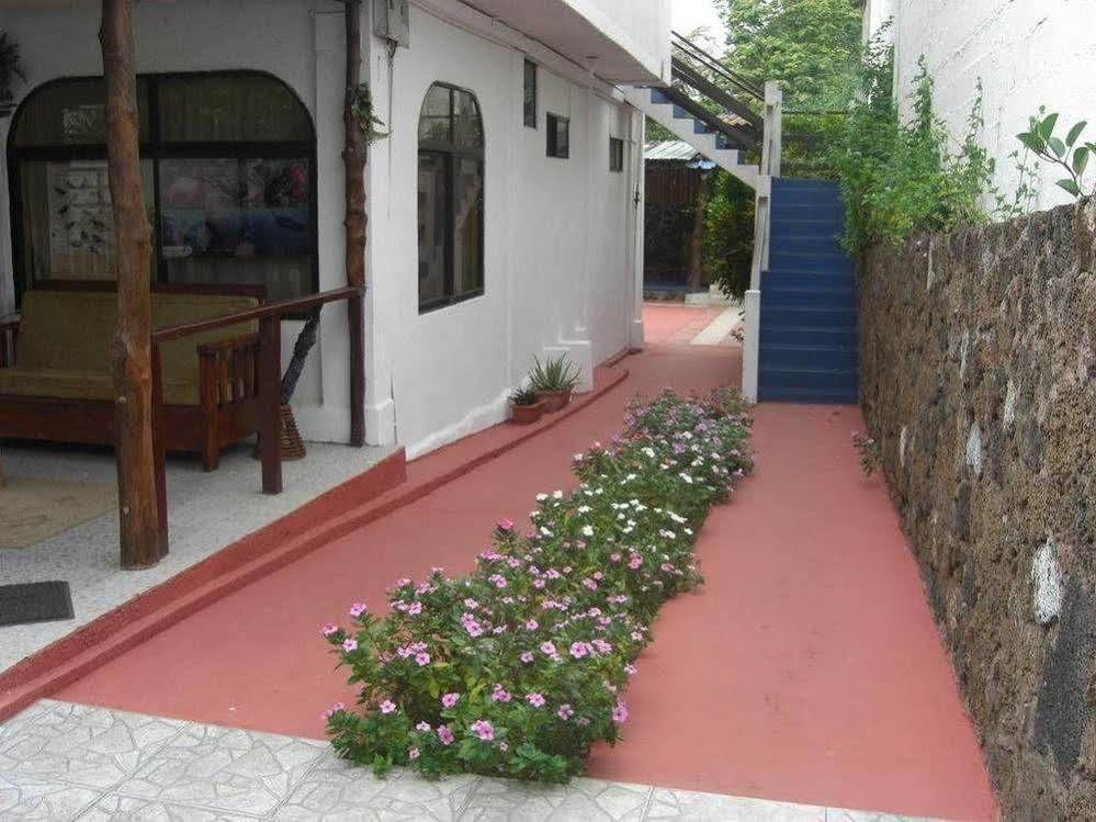 Maytenus Galapagos Puerto Ayora  Exteriör bild
